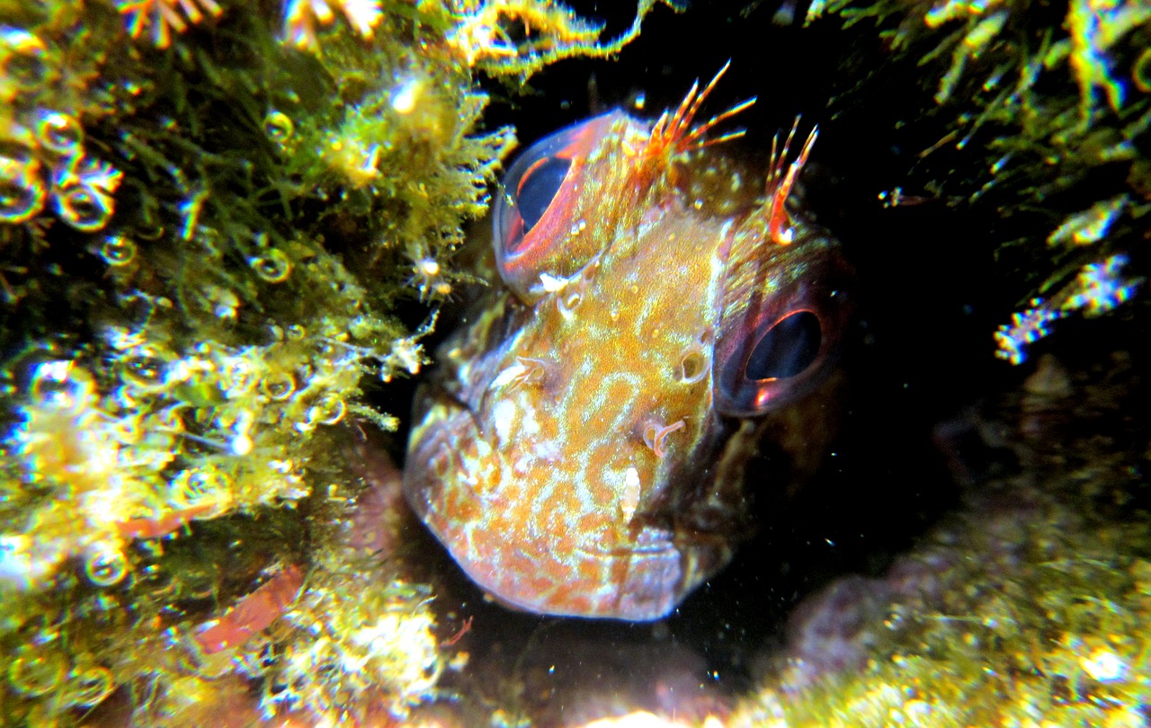 Saltwater Arrival March 2024