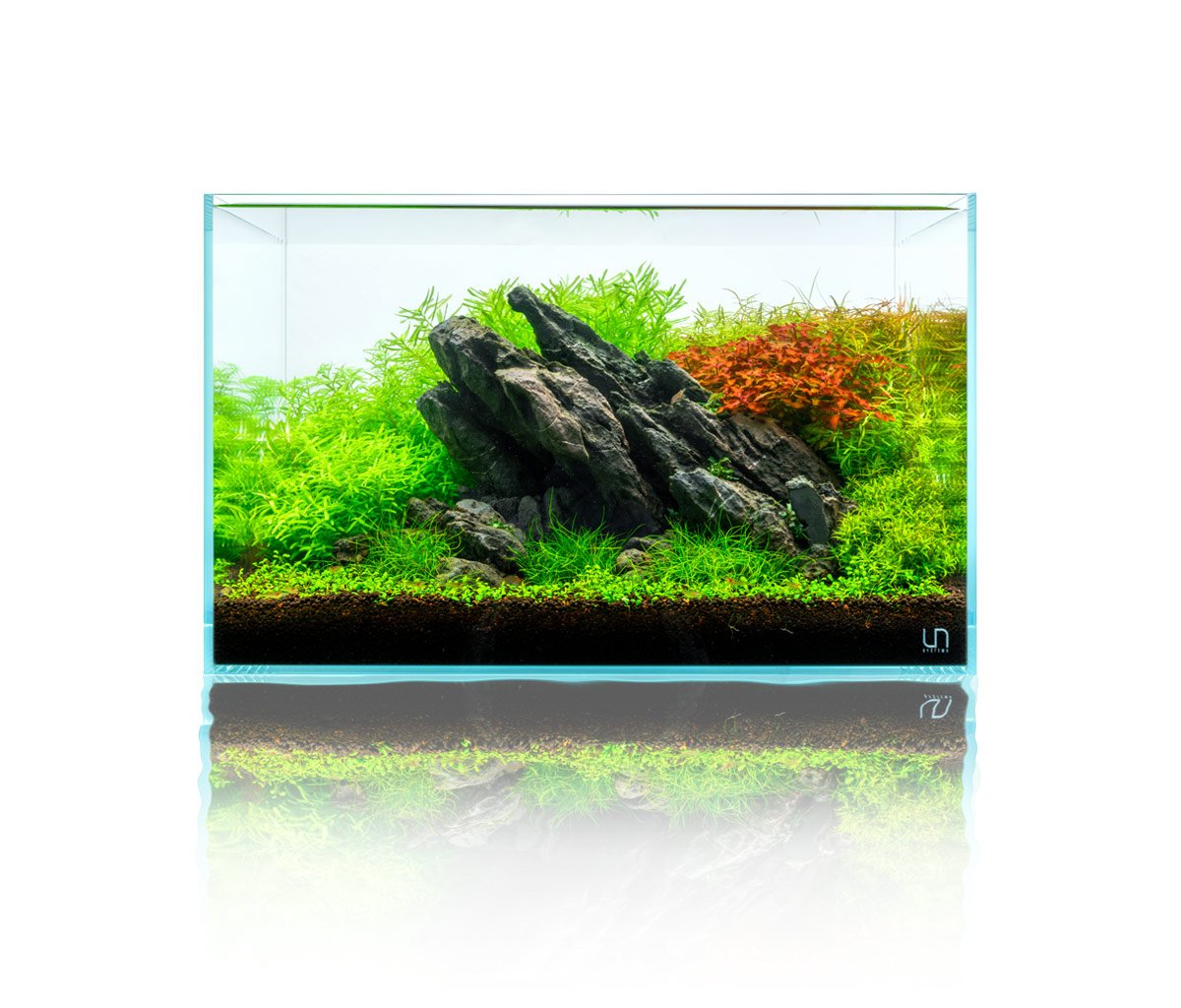Freshwater Arrivals 9/19-9/24