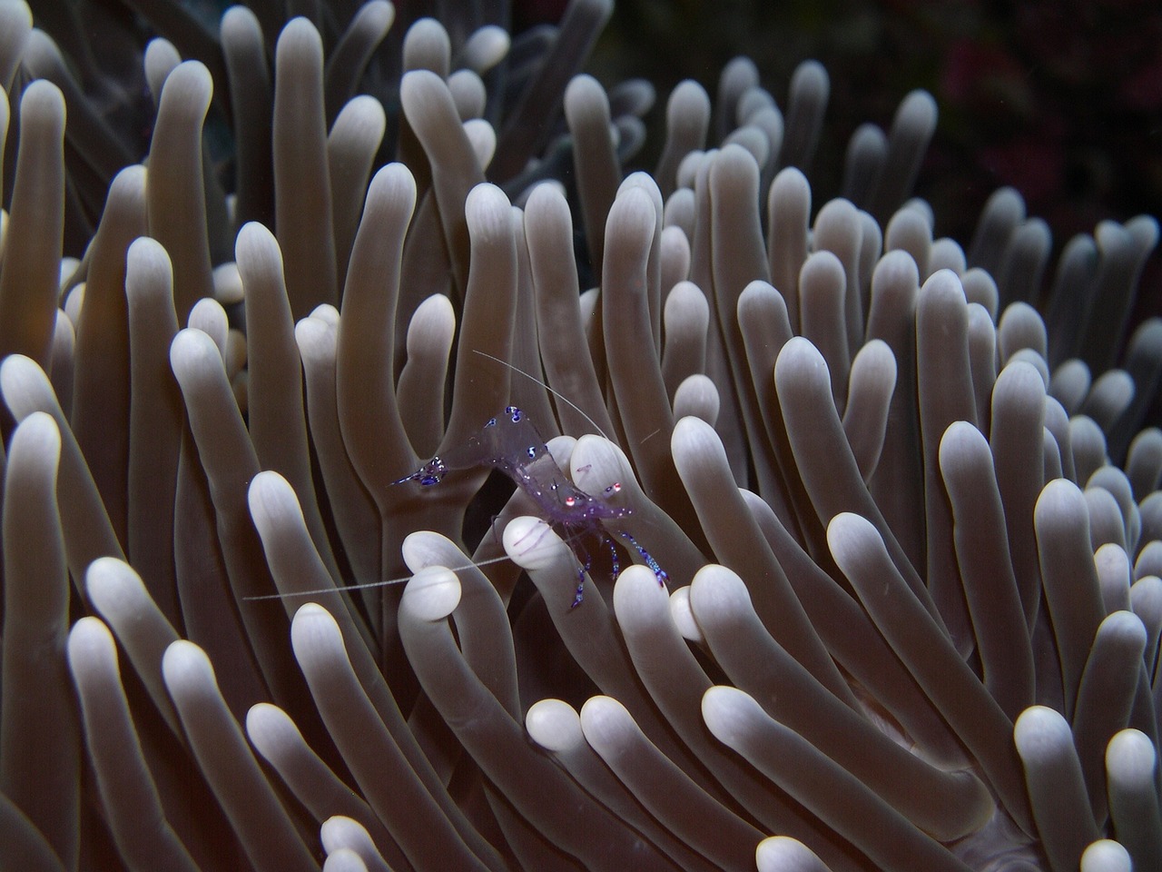 Saltwater Arrivals January 2025