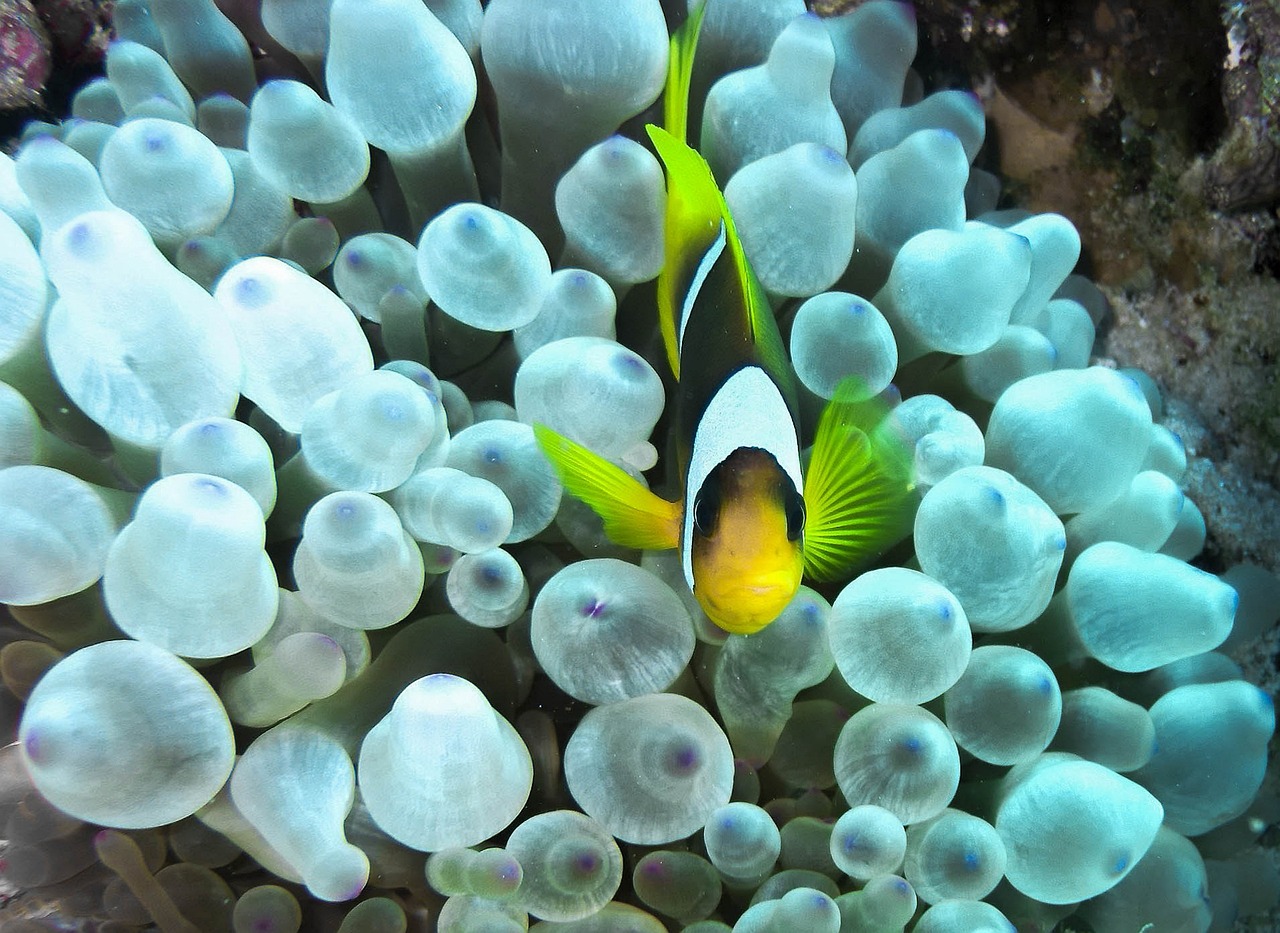 Saltwater Arrivals Sept 2023