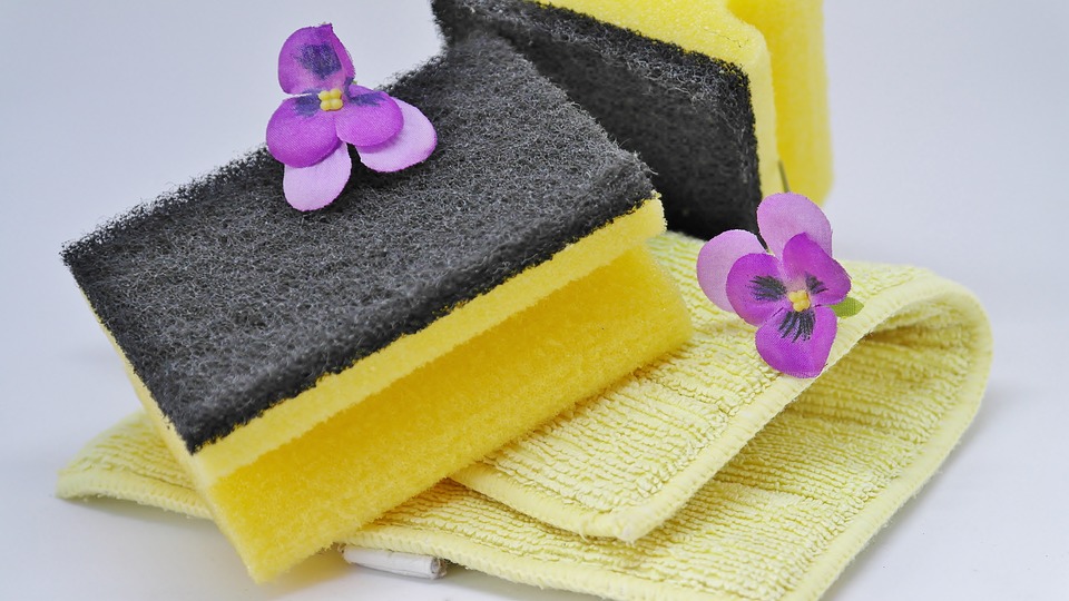 Spring cleaning with your pets in mind