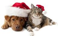 Holiday Pet Safety Tips